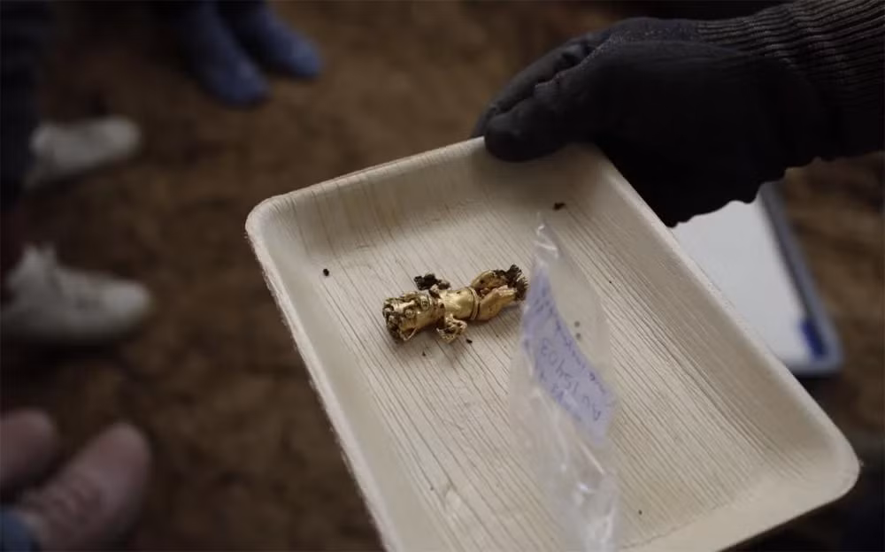 Các hiện vật trong ngôi mộ bao gồm thắt lưng, vòng tay, khuyên tai, chuông và đĩa vàng, cùng với một số hiện vật khác như một món đồ từ răng chó và một bộ sáo từ xương.