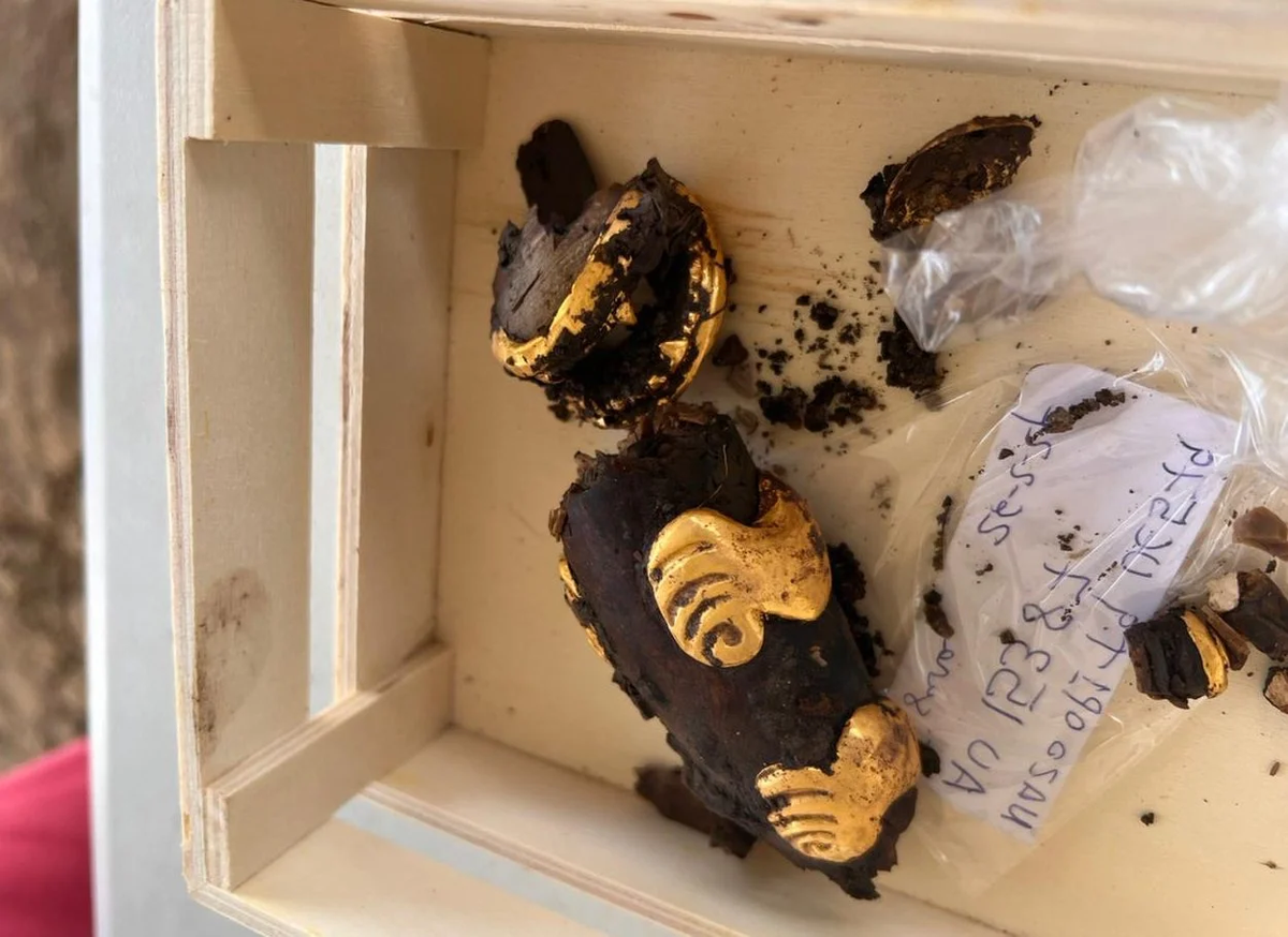 Việc khai quật vẫn đang tiếp tục, nhưng chưa có thông tin chính xác về số lượng người được chôn cất ở đó.