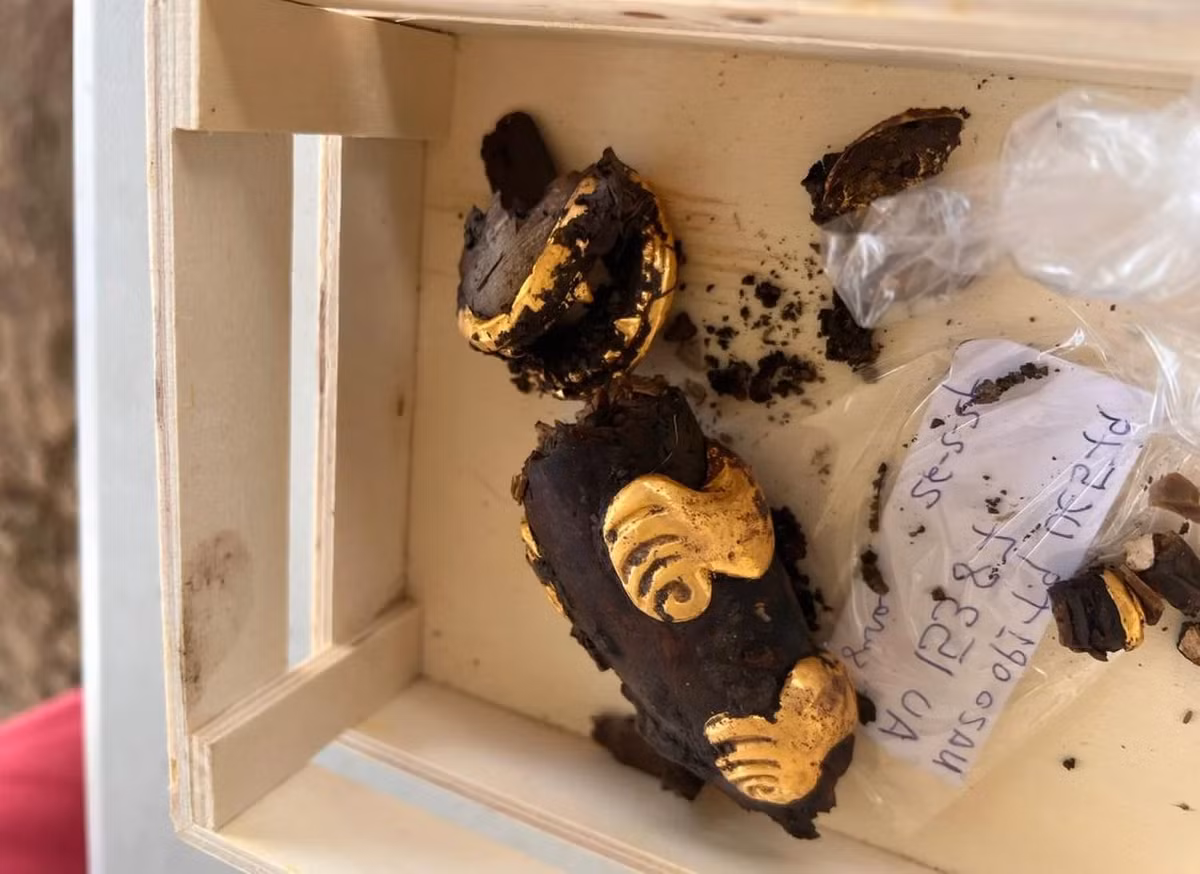 Việc khai quật vẫn đang tiếp tục, nhưng chưa có thông tin chính xác về số lượng người được chôn cất ở đó.