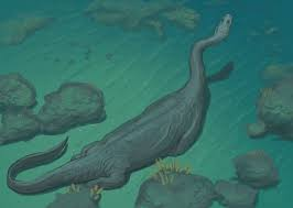 Sinh vật này còn khiến nhiều nhà khoa học liên tưởng đến quái vật hồ Loch Ness.