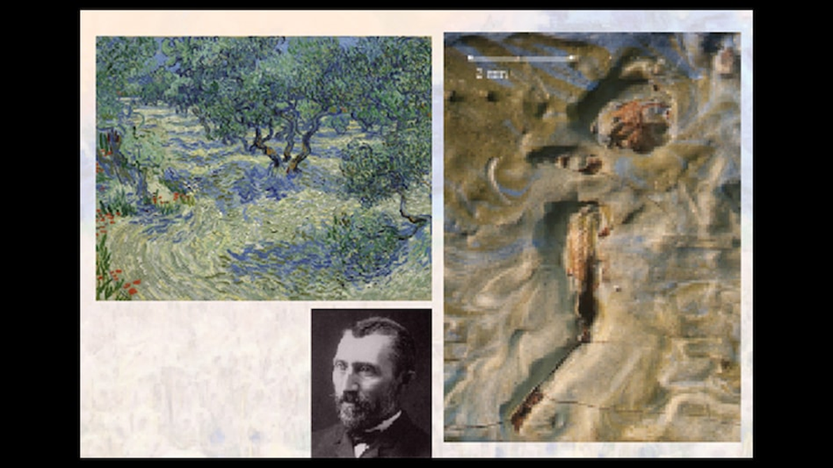 Nhà bảo quản tranh đã liên hệ với Michael Engel, một giáo sư cổ sinh vật học tại Đại học Kansas, để thảo luận về khám phá này.