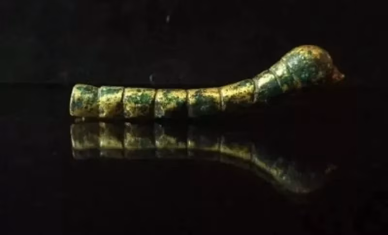 Những người muốn mua lại con "tằm vàng" đã đề xuất giá cao nhưng ông vẫn từ chối.