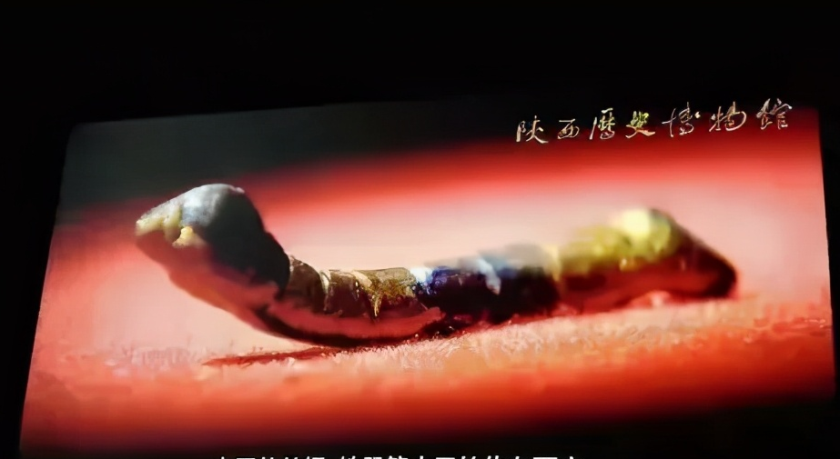 Sau khi xác nhận giá trị của vật phẩm, ông đã đưa nó đến bảo tàng tỉnh Thiểm Tây, nơi nó được công nhận là "tằm đồng mạ vàng" từ thời nhà Hán và được xếp hạng di sản quốc gia.