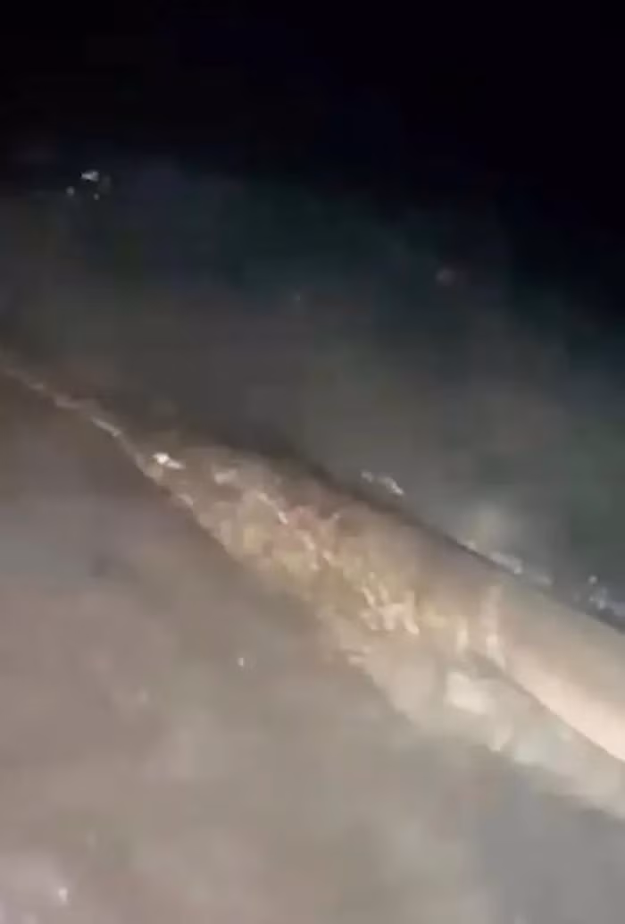 Hai ngư dân Dan D'alesio, 34 tuổi, và AJ Rotondella, đang câu cá mập ngoài khơi bờ biển Florida, Mỹ, đã bắt được một con cá đao khổng lồ dài 4,5 mét và nặng hơn 300kg.