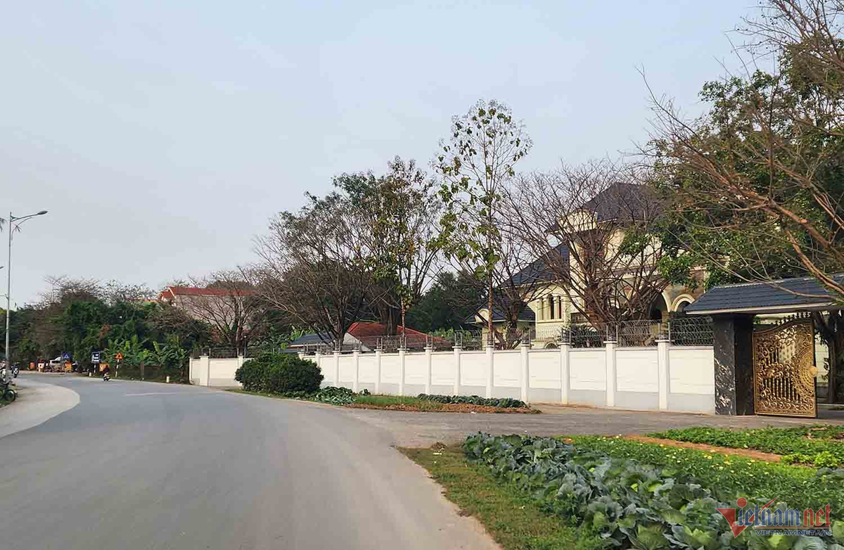 Soi biet phu nguy nga cua Chu tich Tap doan Phuc Son vua bi bat-Hinh-6