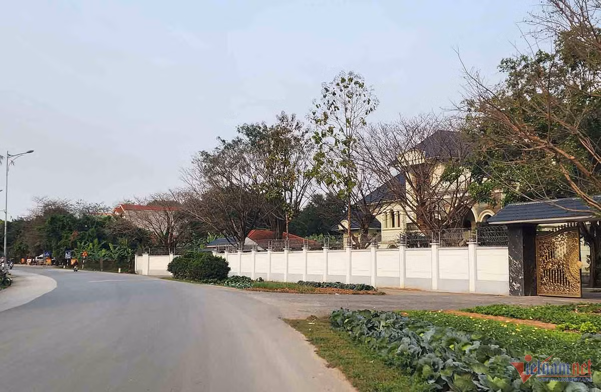 Soi biet phu nguy nga cua Chu tich Tap doan Phuc Son vua bi bat-Hinh-6