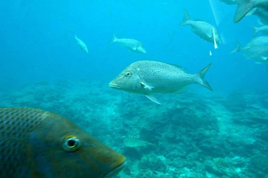 Bat ngo lang truong tho, 80 tuoi van la 'thanh nien'-Hinh-4