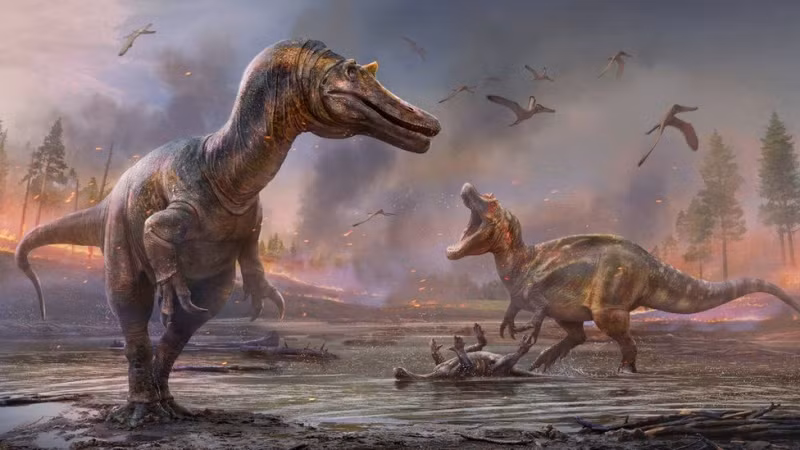 Hệ tầng Nanxiong nơi loài này được phát hiện được biết đến là một kho tàng cổ sinh vật học nổi tiếng với nhiều mẫu vật quý giá về các sinh vật đã tuyệt chủng.