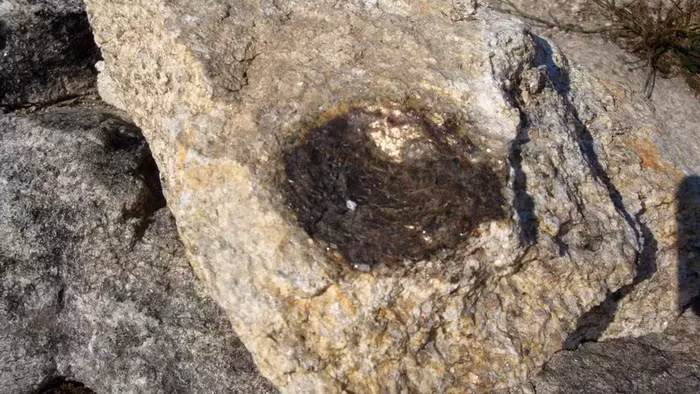 Quá trình sinh đá con diễn ra khi nước mưa hoặc sương ngấm vào các kẽ nứt trên mặt mica và sau đó đóng băng khi mùa đông đến.