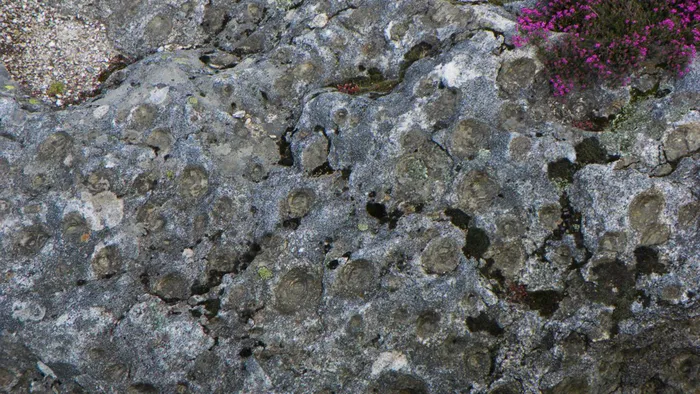 Những mấu nhỏ này, hay đá con, chứa các khoáng chất tương tự như khối đá mẹ nhưng có lớp ngoài cùng chứa biotite, một loại mica có khả năng chống cơ học thấp.