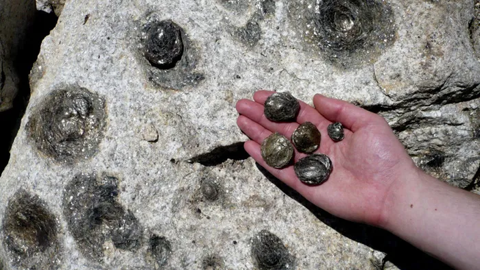 Các quy định địa phương cấm việc lấy những viên đá con ra khỏi khu vực để bảo vệ di sản.