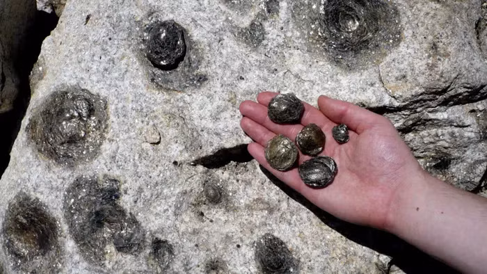 Các quy định địa phương cấm việc lấy những viên đá con ra khỏi khu vực để bảo vệ di sản.