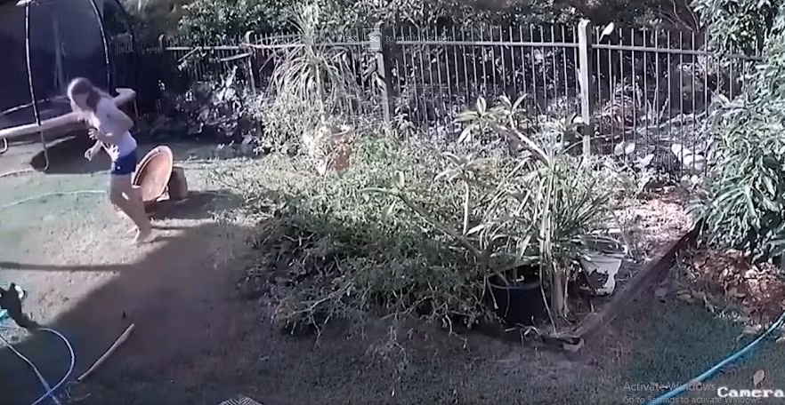 Sau khi định thần lại, chủ nhà đã lập tức chạy đến tìm cách lôi con trăn lưới ra khỏi thú cưng. Rất may là chú chó chỉ bị một vết cắn nhỏ ở tai.