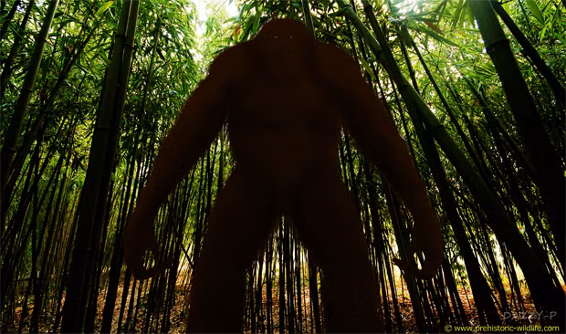 Tuy nhiên, nguyên nhân cụ thể dẫn đến sự tuyệt chủng của loài này vẫn mơ hồ cho đến nay. Dù đã khai quật hàng trăm chiếc răng và phần xương hàm từ các hang động ở miền nam Trung Quốc, nhưng vẫn chưa rõ vì sao Gigantopithecus đã biến mất.