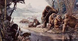 So sánh với họ hàng đười ươi của Gigantopithecus, Pongo weidenreichi, cũng là một loài vượn, nhưng nhỏ hơn và linh hoạt hơn trong việc tìm kiếm thức ăn. Khả năng thích nghi của đười ươi đã giúp chúng tồn tại trong khi Gigantopithecus không thể vượt qua thách thức của môi trường mới.