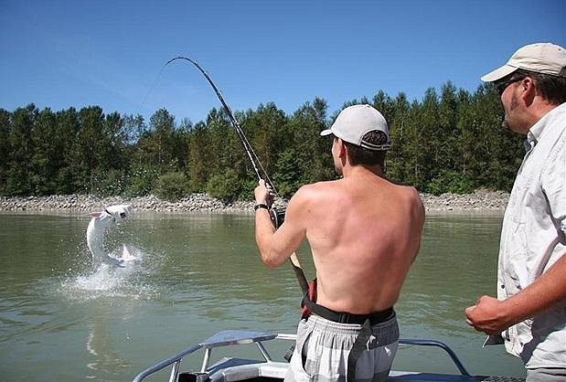 Sau khi chiến thắng, nhóm đã đo kích thước và chụp ảnh với con cá trước khi thả nó trở lại sông. Cá tầm có kích thước dài khoảng 2,5-3,5 m không phải là hiếm và một số loài có thể còn to lớn hơn.