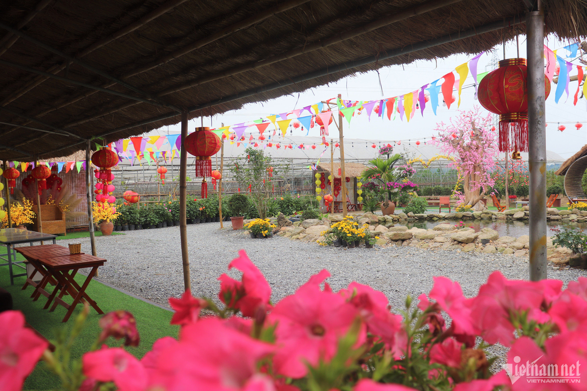 Ty phu nong dan bat bai dat hoang 'de' tien ty-Hinh-3