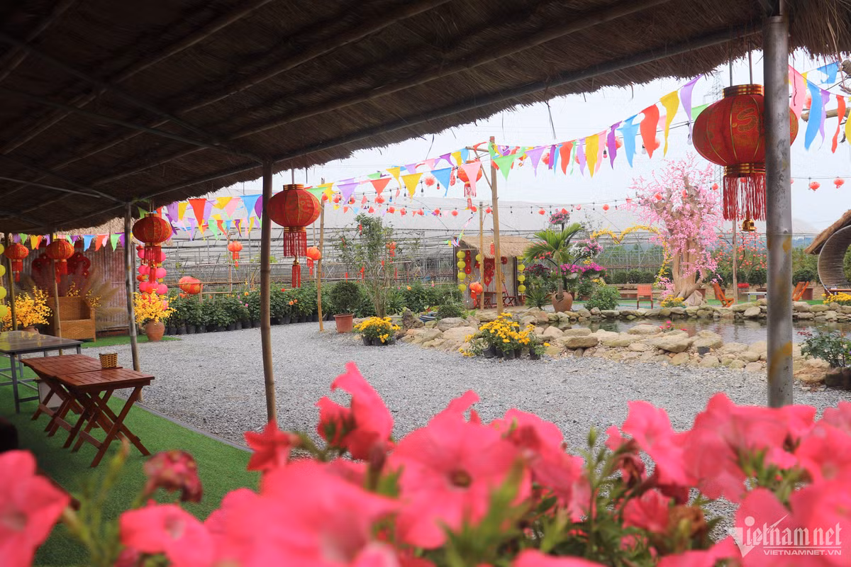 Ty phu nong dan bat bai dat hoang 'de' tien ty-Hinh-3