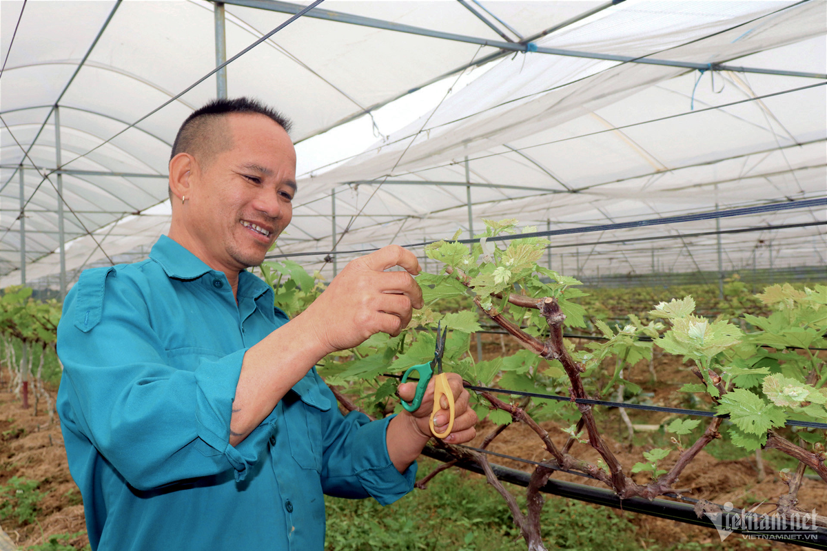 Ty phu nong dan bat bai dat hoang 'de' tien ty