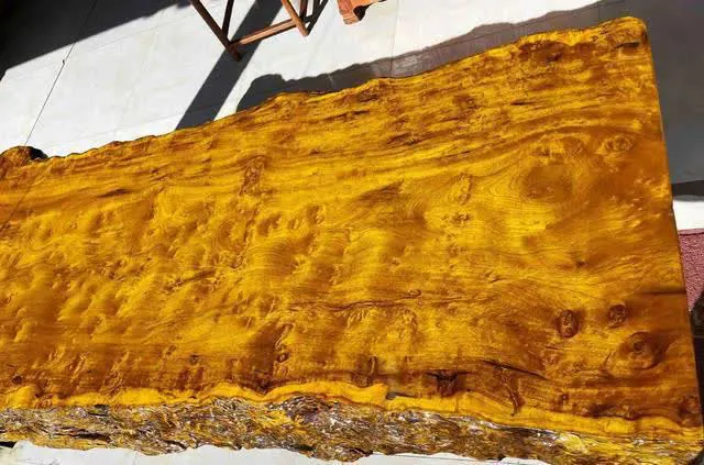 Do tỷ lệ trồng cây Kim Tơ Nam Mộc rất thấp và giá trị kinh tế của nó khó đo đếm, nó trở thành một loại gỗ quý có giá trị cao và được săn lùng.