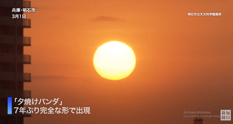 Một điều thú vị nữa là người ta thường tổ chức các buổi tiệc ngắm gấu trúc hoàng hôn tại khu vực này vào tháng 3 và tháng 10 hàng năm.