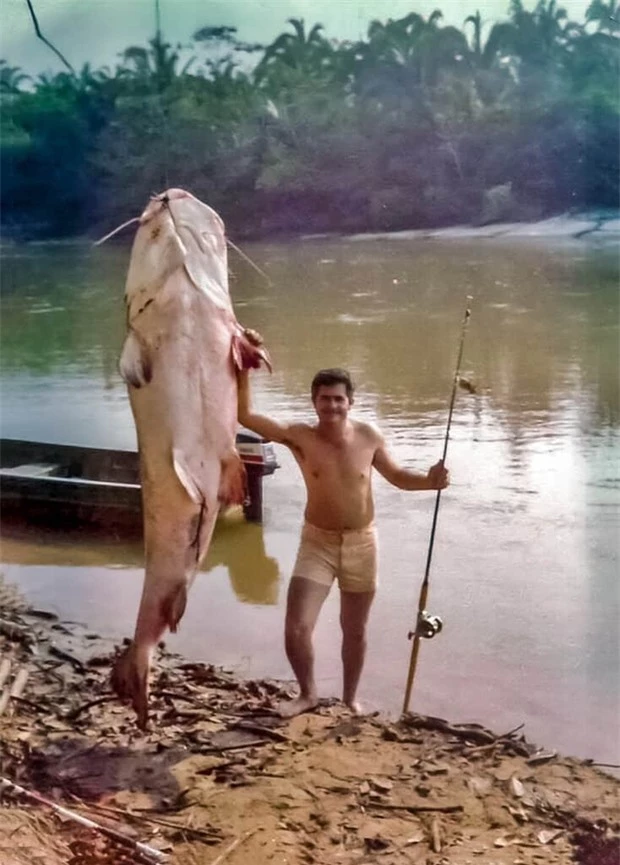 5. Cá Piraíba (Brachyplatystoma filamentosum): Là một trong những loài cá da trơn lớn nhất thế giới, chiều dài lên đến 3 m, nặng tới 150 kg. Piraíba cũng đáng sợ khi lướt trên mặt nước với kiểu vây cá mập.