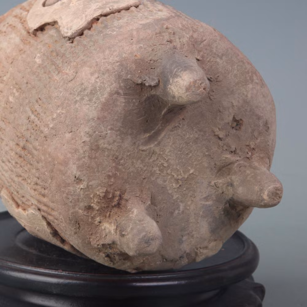 Ông Trần rất vui vẻ và hạnh phúc khi biết món đồ mà ông vô tình mang đến thẩm định thực sự là một kho báu quý giá.