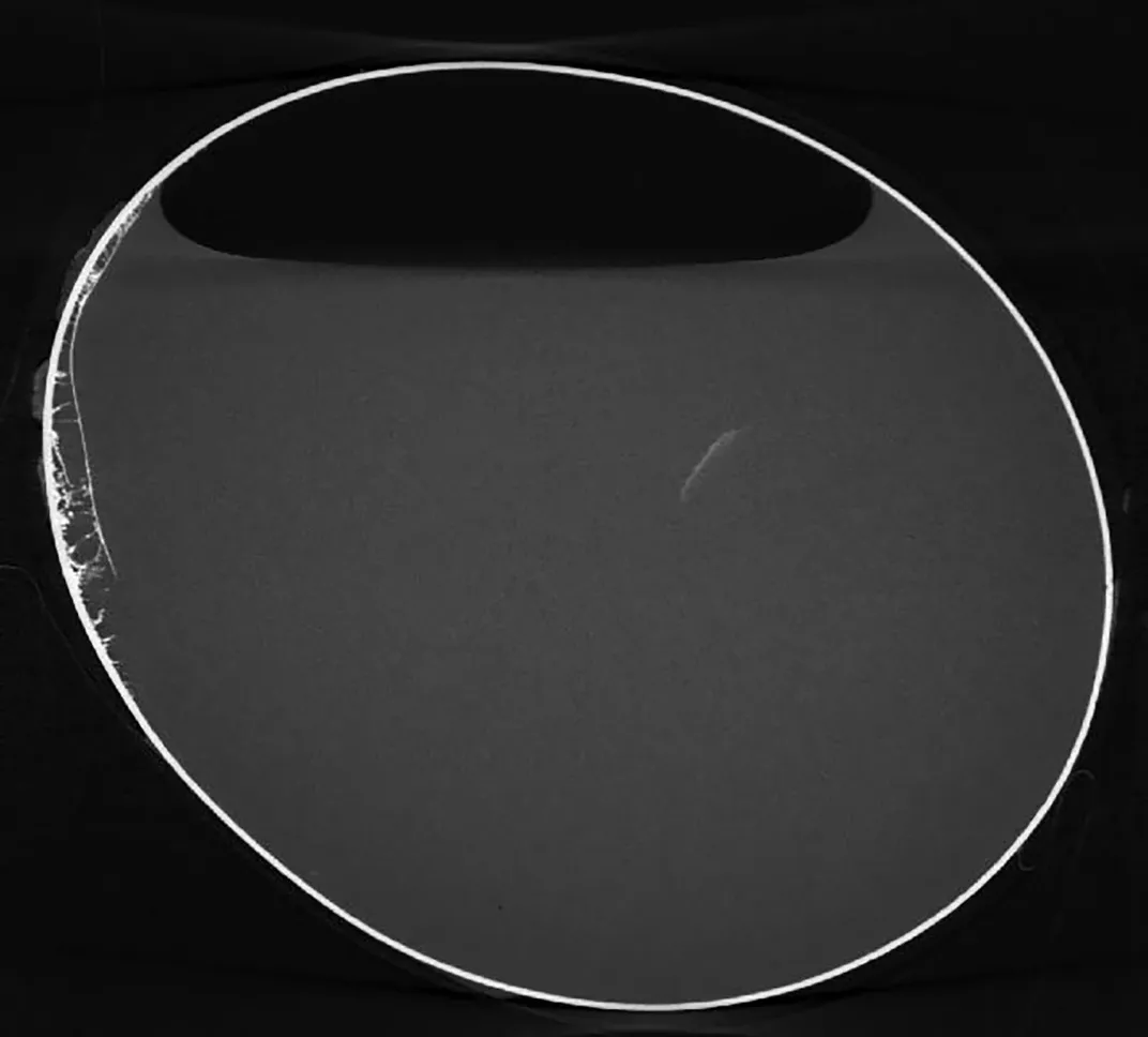 Cuộc thảo luận đã diễn ra để quyết định cách trưng bày và bảo quản quả trứng kỳ lạ này, và sau khi quét quả trứng, phát hiện rằng nó vẫn chứa chất lỏng và bọt khí. Điều này khiến các nhà khảo cổ kinh ngạc vì đây có thể là quả trứng cổ nhất trên thế giới.