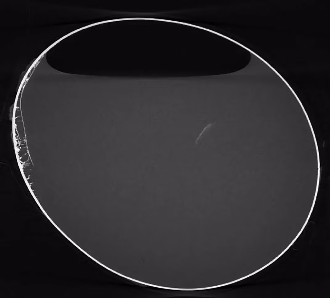 Cuộc thảo luận đã diễn ra để quyết định cách trưng bày và bảo quản quả trứng kỳ lạ này, và sau khi quét quả trứng, phát hiện rằng nó vẫn chứa chất lỏng và bọt khí. Điều này khiến các nhà khảo cổ kinh ngạc vì đây có thể là quả trứng cổ nhất trên thế giới.