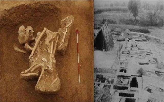 Mộ cổ của Doanh Âm Man được phát hiện vào năm 1976, chứa thi thể bị tàn phá dã man.