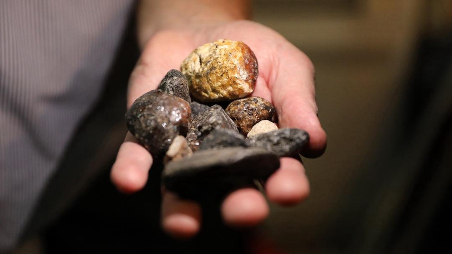 Long diên hương được săn lùng và có giá trị cao do tính quý hiếm và mùi hương đặc biệt của nó.