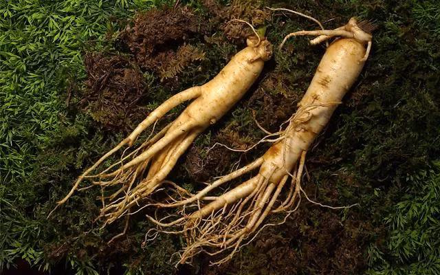 Nhung loai thao moc quy hon vang giup 