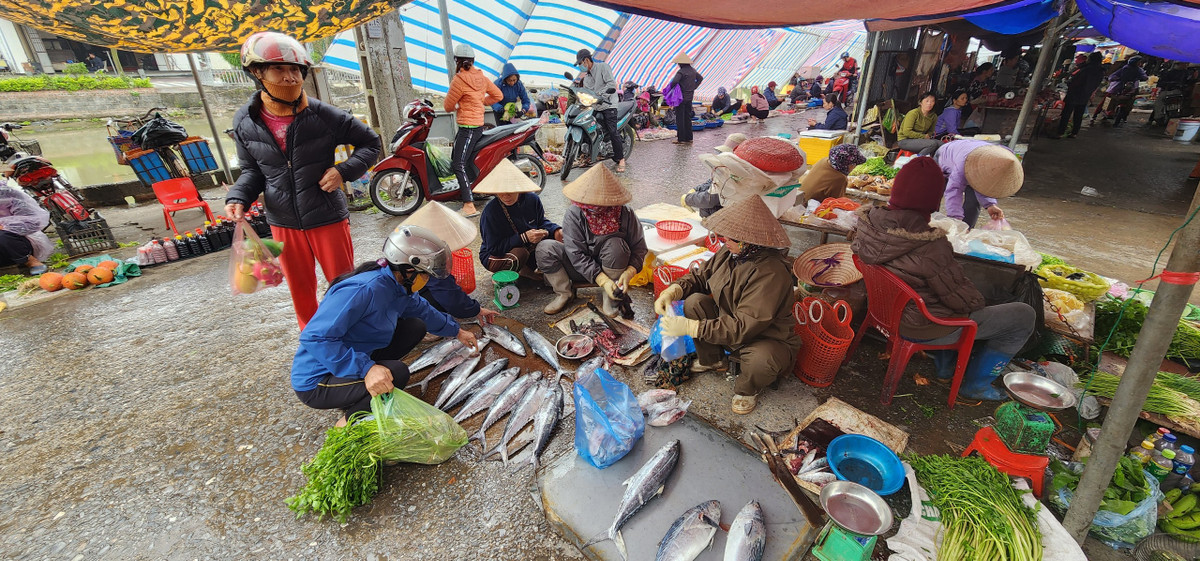 Chợ Quán là chợ ven biển nên không thể thiếu các loại thủy, hải sản với giá bình dân.