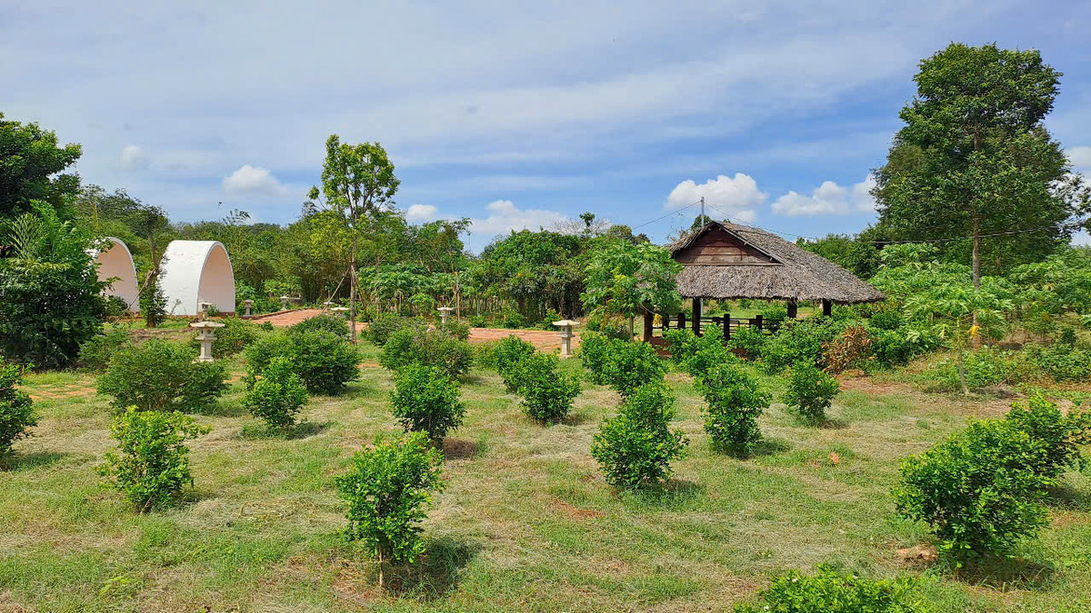 BR-VT: Đầu tư hơn 100 tỷ trùng tu, Địa đạo Long Phước hiện nay ra sao? - Hình 9 BR-VT: Dau tu hon 100 ty trung tu, Dia dao Long Phuoc hien nay ra sao?-Hinh-9