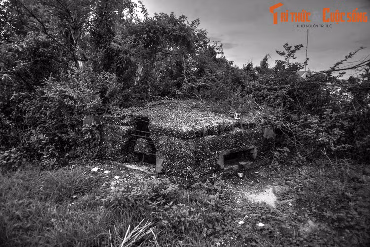 Lũy Trường Dục đã phát huy xuất sắc vai trò phòng ngự trong lịch sử cuộc phân tranh giữa hai dòng họ Trịnh - Nguyễn. Năm 1648, quân Trịnh chiếm được Động Hải và dinh Quảng Bình nhưng không thể vượt nổi lũy Trường Dục