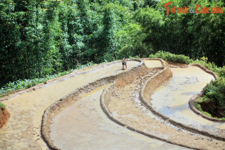 Sau các biến động về địa danh suốt 2.000 năm lịch sử, đến đời nhà Nguyễn, vùng đất Lào Cai chủ yếu thuộc đất của châu Thủy Vỹ, châu Văn Bàn, một phần thuộc châu Chiêu Tấn và một phần nhỏ thuộc châu Lục Yên thuộc phủ Quy Hóa. Ảnh: Ruộng bậc thang Sa Pa, Lào Cai.