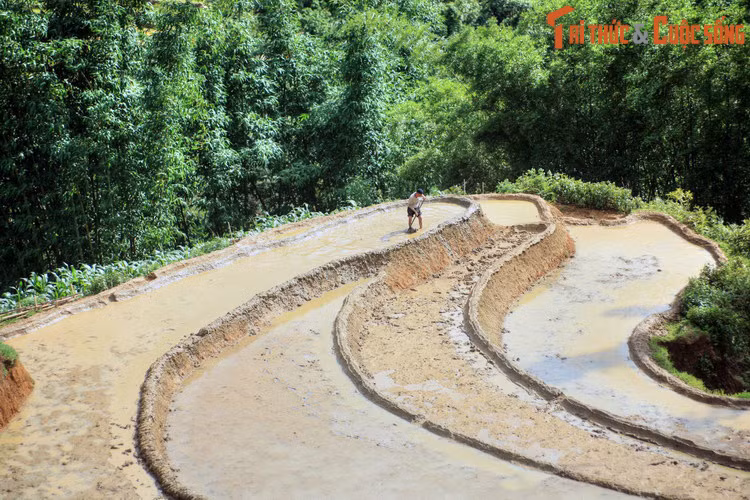 Sau các biến động về địa danh suốt 2.000 năm lịch sử, đến đời nhà Nguyễn, vùng đất Lào Cai chủ yếu thuộc đất của châu Thủy Vỹ, châu Văn Bàn, một phần thuộc châu Chiêu Tấn và một phần nhỏ thuộc châu Lục Yên thuộc phủ Quy Hóa. Ảnh: Ruộng bậc thang Sa Pa, Lào Cai.