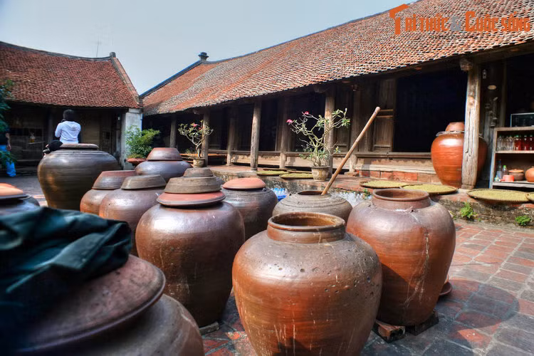 Ngôi làng cổ nổi tiếng này vẫn giữ được hầu hết các đặc trưng cơ bản của làng cổ Việt Nam với cổng làng, cây đa, bến nước, sân đình, chùa, miếu, điếm canh, giếng nước, ruộng nước, gò đồi… cùng gần 1.000 ngôi nhà kiểu truyền thống, nhiều ngôi được xây dựng từ thế kỷ 17-19.