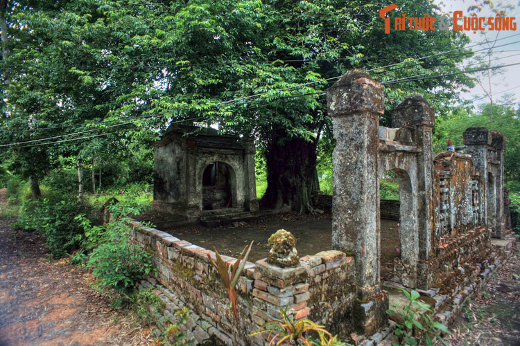 Ngoài những ngôi nhà rường, làng còn có nhiều công trình thờ tự mang đậm nét văn hóa tâm linh của cư dân làng cổ Việt Nam, tiêu biểu là Miếu Bà hay miếu Cây Thị, một ngôi miếu nổi tiếng linh thiêng của làng. Cạnh miếu có một cây thị cổ thụ, tương truyền đã 1.000 tuổi.