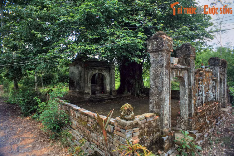 Ngoài những ngôi nhà rường, làng còn có nhiều công trình thờ tự mang đậm nét văn hóa tâm linh của cư dân làng cổ Việt Nam, tiêu biểu là Miếu Bà hay miếu Cây Thị, một ngôi miếu nổi tiếng linh thiêng của làng. Cạnh miếu có một cây thị cổ thụ, tương truyền đã 1.000 tuổi.