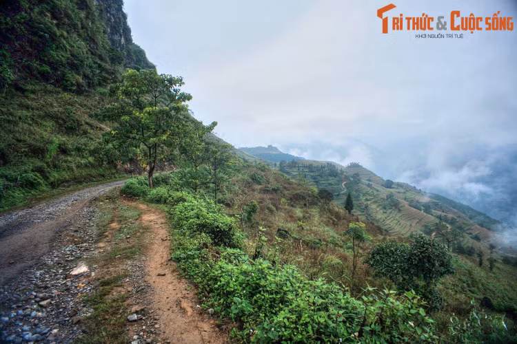 Ngày nay, huyện Si Ma Cai được những "tín đồ" du lịch trong cả nước biết đến nhờ cảnh quan núi non gây choáng ngợp cùng nét văn hóa đặc sắc của đồng bào các dân tộc anh em. Ảnh: Một cung đường ở Si Ma Cai.