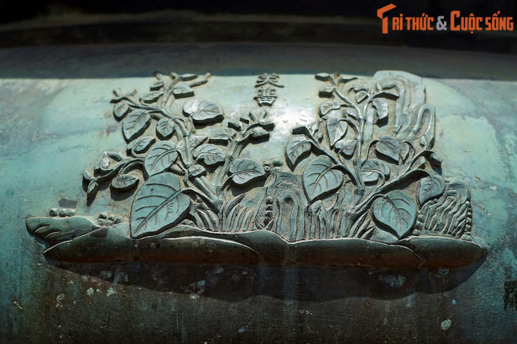 Dụ đỉnh, chiếc đỉnh thứ 8 khắc hình tượng “Phù lưu” là cây trầu, loài cây được trồng lấy lá, gắn bó mật thiết với tục ăn trầu của người Việt, đồng thời cũng là một loại cây thuốc. Trong Đông y, trầu có vị cay, tính ấm, quy vào kinh phế, tỳ, vị.