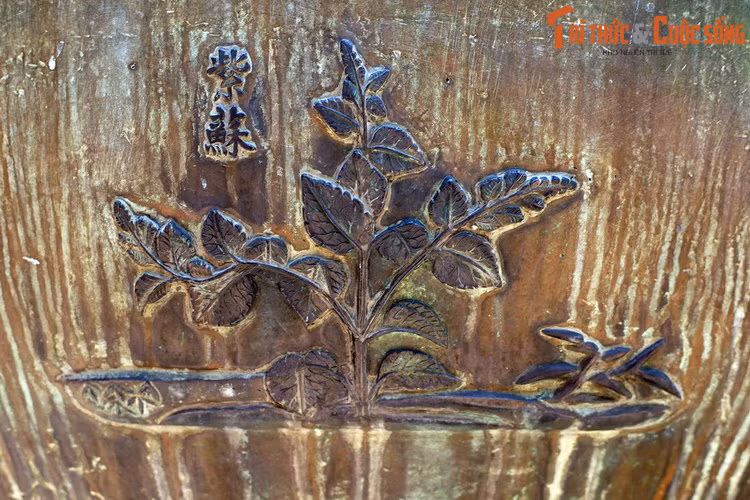 Trên Dụ đỉnh còn có hình tượng “Tử tô” là cây tía tô, loài cây bụi có lá màu tím, được dùng làm gia vị và dược liệu. Theo Đông y, tía tô có vị cay, tính ấm, quy vào kinh phế, tỳ.