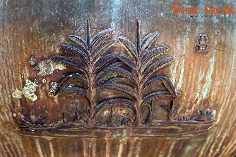 Trên Tuyên đỉnh còn có hình tượng “Khương” là cây gừng, loài cây được trồng lấy củ làm gia vị hoặc dược liệu. Trong Đông y, gừng có vị cay, mùi thơm hắc, tính nóng, quy vào kinh tâm, phế, tỳ, vị.