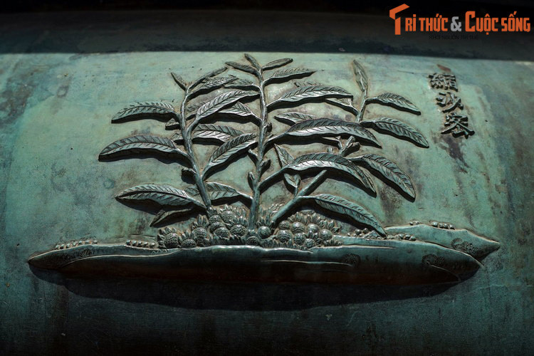 Thần đỉnh, chiếc đỉnh thứ 6 khắc hình tượng “Súc sa mật”, nghĩa là cây sa nhân, loài cây có hạt dùng làm gia vị, lá, hạt và quả dùng làm dược liệu trong y học cổ truyền. Trong Đông y, sa nhân có mùi thơm, vị cay, tính ấm, được quy vào kinh tỳ, vị và thận.