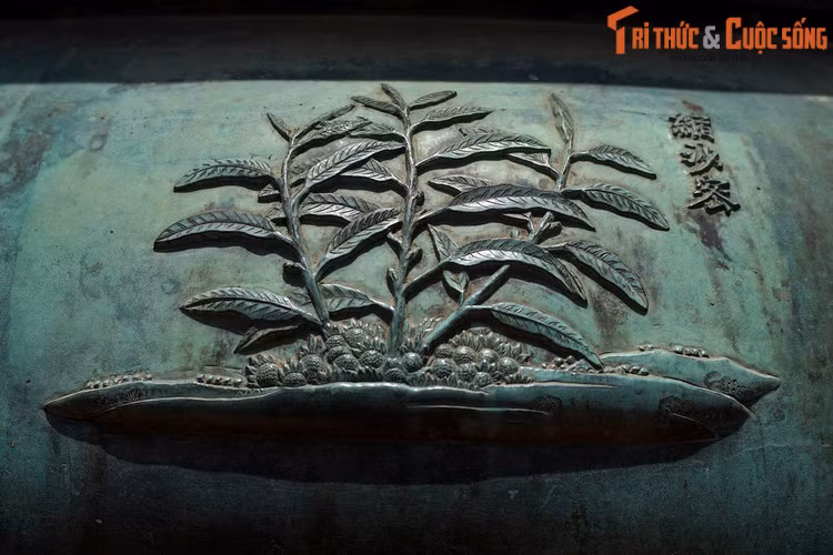 Thần đỉnh, chiếc đỉnh thứ 6 khắc hình tượng “Súc sa mật”, nghĩa là cây sa nhân, loài cây có hạt dùng làm gia vị, lá, hạt và quả dùng làm dược liệu trong y học cổ truyền. Trong Đông y, sa nhân có mùi thơm, vị cay, tính ấm, được quy vào kinh tỳ, vị và thận.