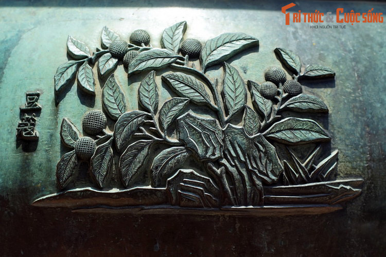 Chương đỉnh, chiếc đỉnh thứ ba khắc hình “Đậu khấu” là cây đậu khấu, loại cây có quả được sử dụng làm thuốc. Trong Đông y, đậu khấu có vị cay tính ấm, quy kinh vào kinh tỳ và vị.