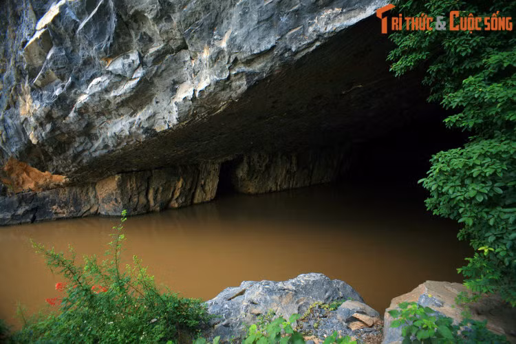 Đây là một chi lưu của sông Gianh và chảy hoàn toàn trên địa phận tỉnh Quảng Bình. Một phần thượng nguồn của sông Son dài gần 8 km, chảy ngầm trong các núi đá vôi ở Vườn quốc gia Phong Nha - Kẻ Bàng và chảy ra từ cửa động Phong Nha.