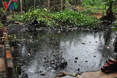 Vệt dầu đen kịt ngoài vườn nhà người dân. Nguồn ảnh:VOV.