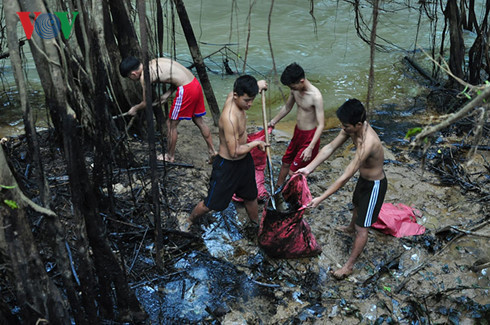 Do lượng dầu tràn quá lớn, lãnh đạo thành phố Quy Nhơn tiếp tục huy động thêm gần 100 cán bộ chiến sĩ Trung đoàn 23, thanh niên xung kích phường Bùi Thị Xuân tiến hành thu gom dầu lan theo dòng nước suối Mơ. Nguồn ảnh:VOV.
